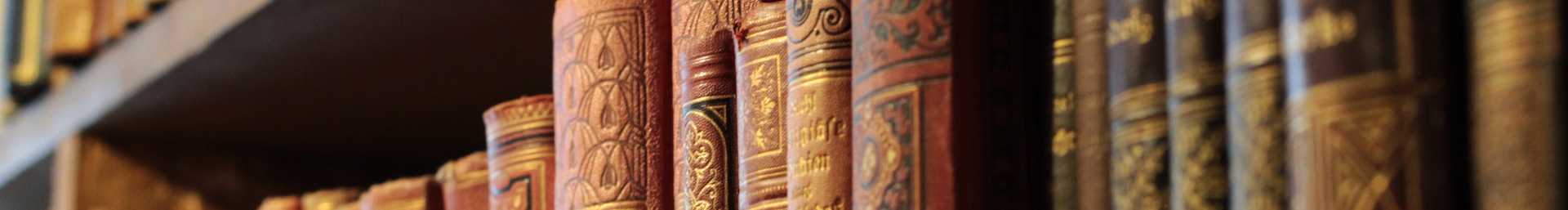 The picture shows old books on a shelf